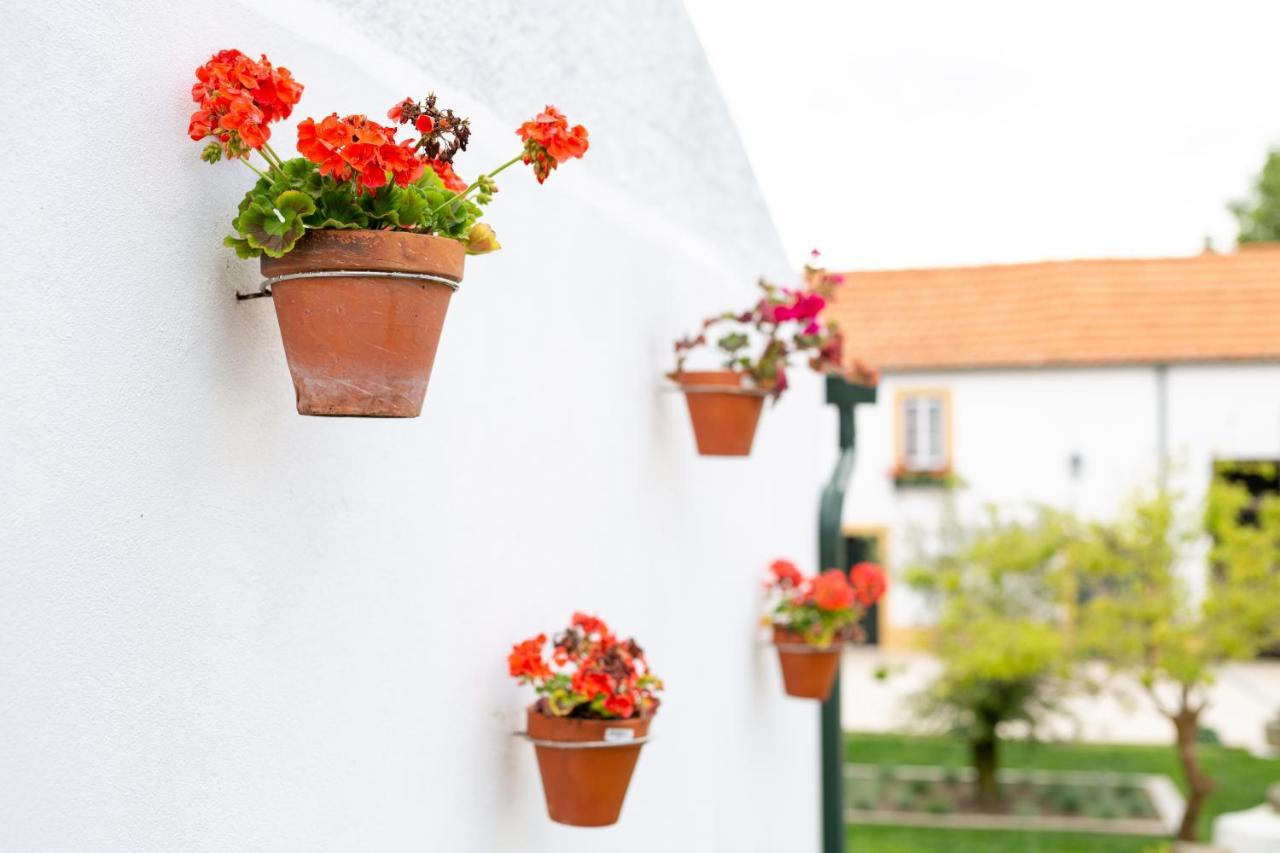 Bed and Breakfast Casa D'Oliveira Aveiro Esterno foto